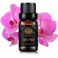 thumbnail image 1 of Aromatherapy Orchid Essential Oil for Diffuser, 100% Pure Orchid Essential Oil for Massage, 0.33oz-10ml 100% Pure Orchid Oil for Humidifier, Aromatherapy Orchid Oil for Air Freshener, 1 of 6