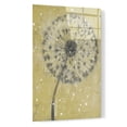 thumbnail image 2 of Epic Art 'Dandelion Abstract I' by Tim O'Toole, Acrylic Glass Wall Art, 16"x24", 2 of 3