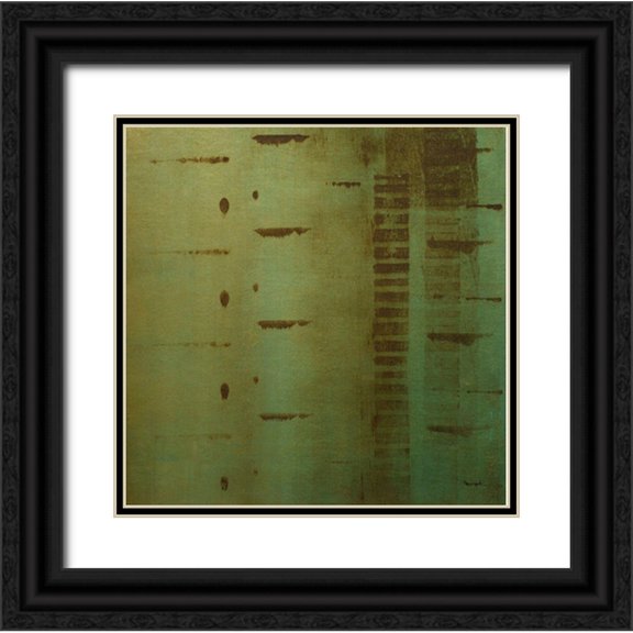 Springet, Mike 12x12 Black Ornate Wood Framed with Double Matting Museum Art Print Titled - Echo 3