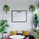 thumbnail image 4 of Tnntopele Plantas Colgantes Falsas Con Macetas, Paquete De 2 Plantas Artificiales De Hoja De Anturio Artificial, Cesta Colgante Para Pared, Hogar, Habitación, Decoración Interior Y Exterior, 4 of 9