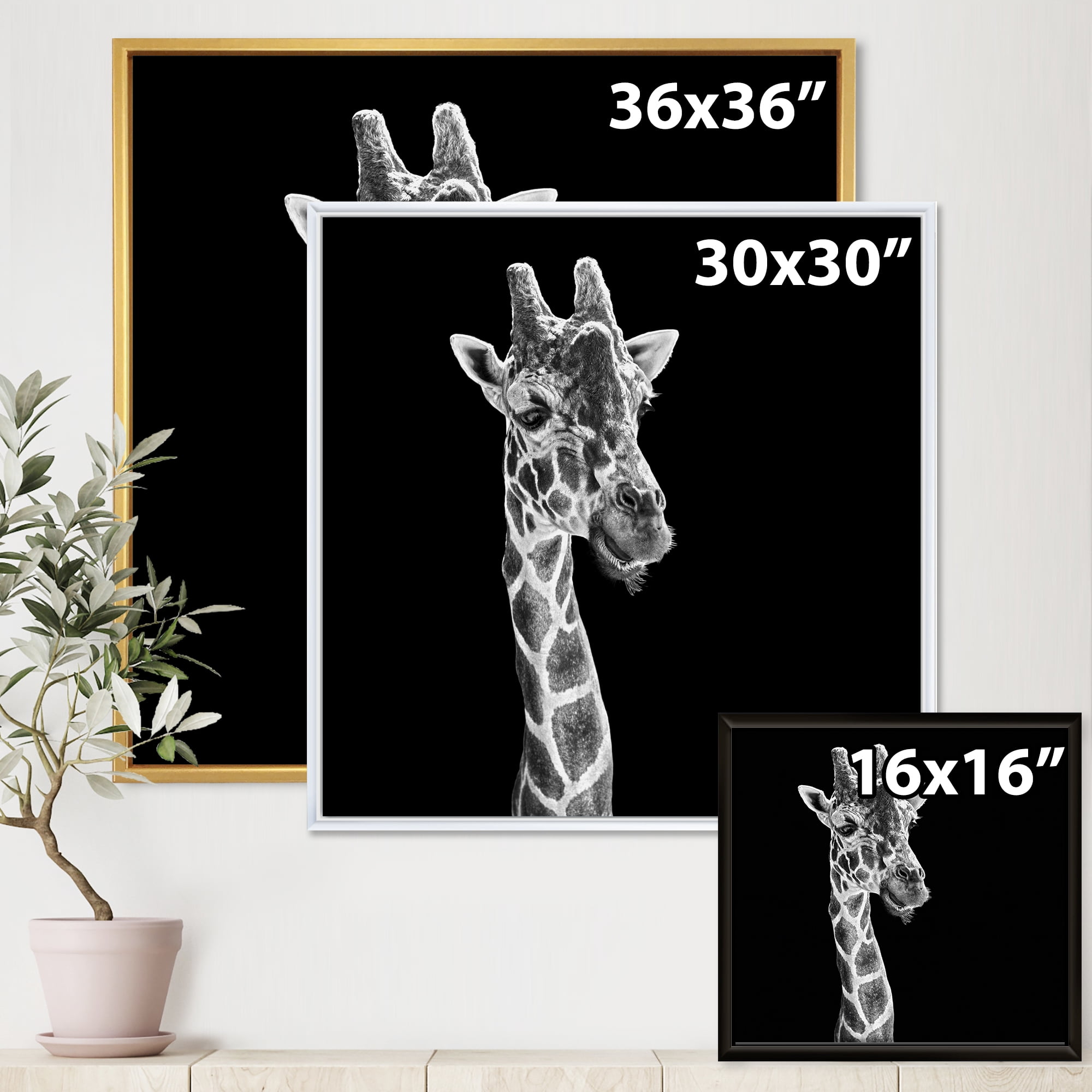 Designart 'Close Up Portrait Of A Giraffe On Black II' Farmhouse Framed Canvas Wall Art Print