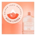 thumbnail image 3 of Agua Bonafont 11 l únicamente líquido, 3 of 4