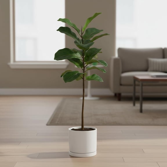 8 inch Ceramic Plant Pot with Drainage Hole and Saucer - Suitable for Indoor and Outdoor Use, Modern Planters for House Garden Flower Tree Snake Monstera Plants (8", Matte White)