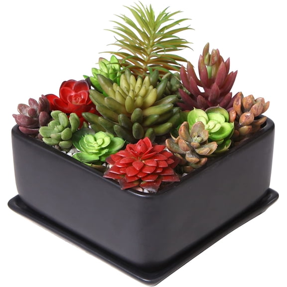 MyGift 7 inch Square Matte Black Ceramic Succulent Planter Pot with Drainage Tray