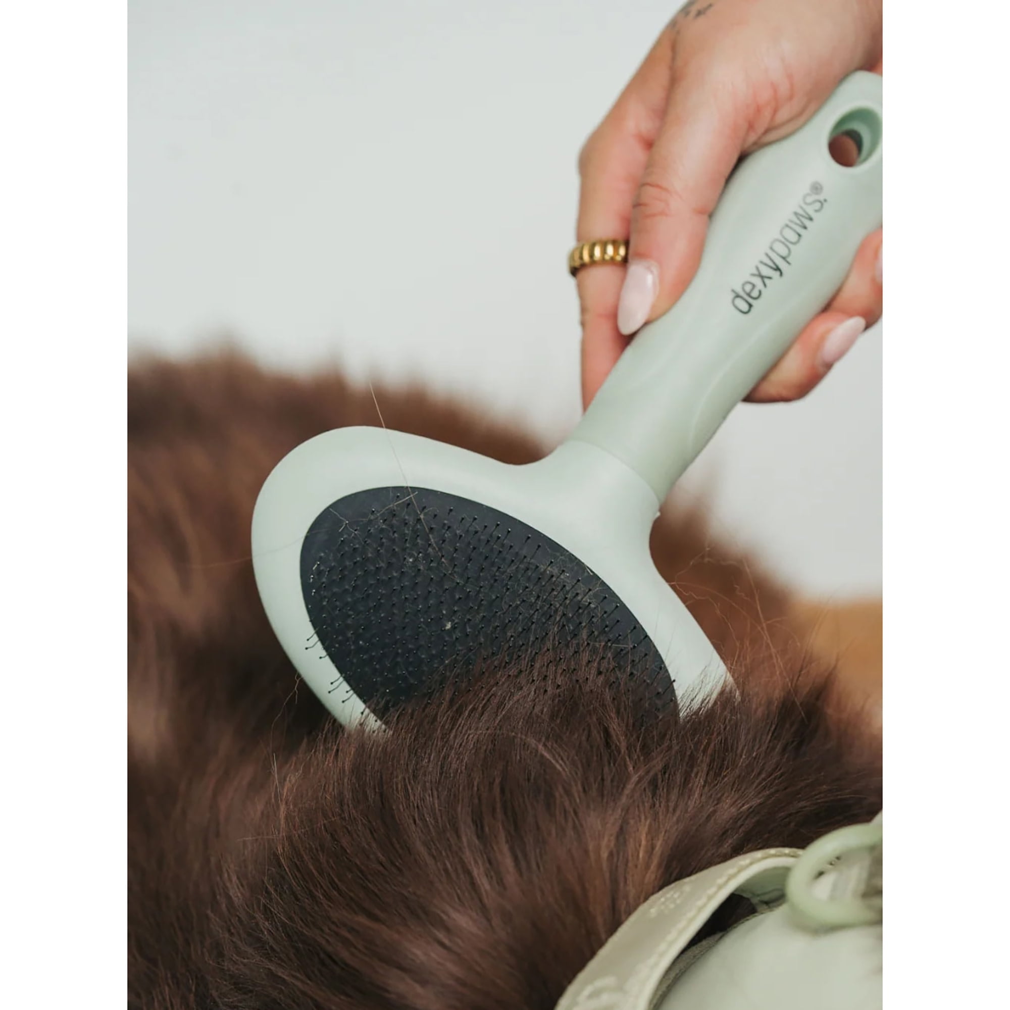 Dexypaws: Pet Slicker Brush - Large - Sage Green, Dog & Cat Grooming Tool, Stainless Steel Teeth, Remove Fur-Tangles-Dirt, Coat Maintenance, 7.7x4.9"