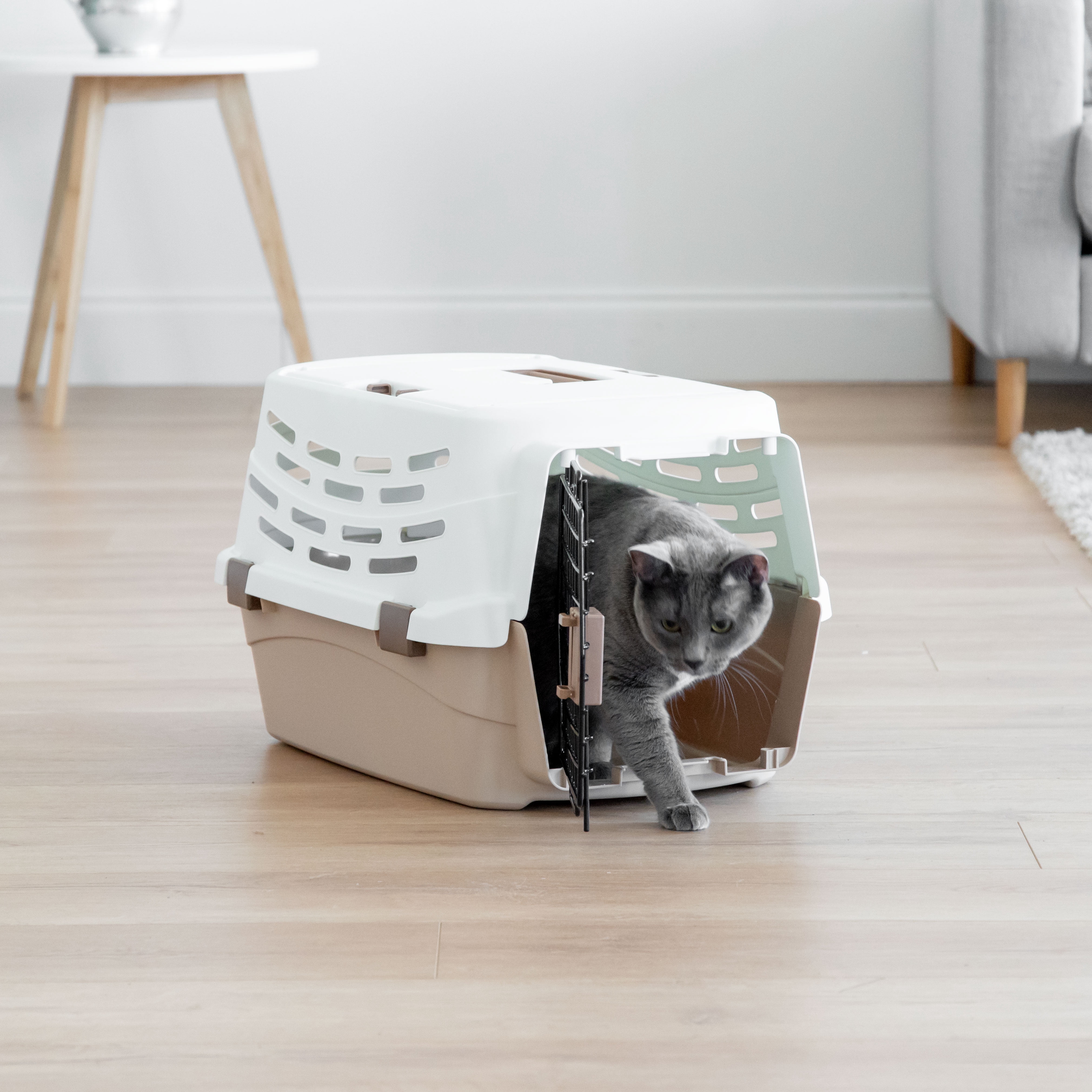 IRIS Medium Pet Travel Carrier, Off-White/Brown