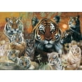 thumbnail image 2 of Otter House 1000 Piece Puzzle - Into the Wild, 2 of 2
