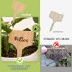 thumbnail image 3 of Etiquetas para plantas VITEVER de plástico tipo T impermeables (100 unidades), 3 of 7