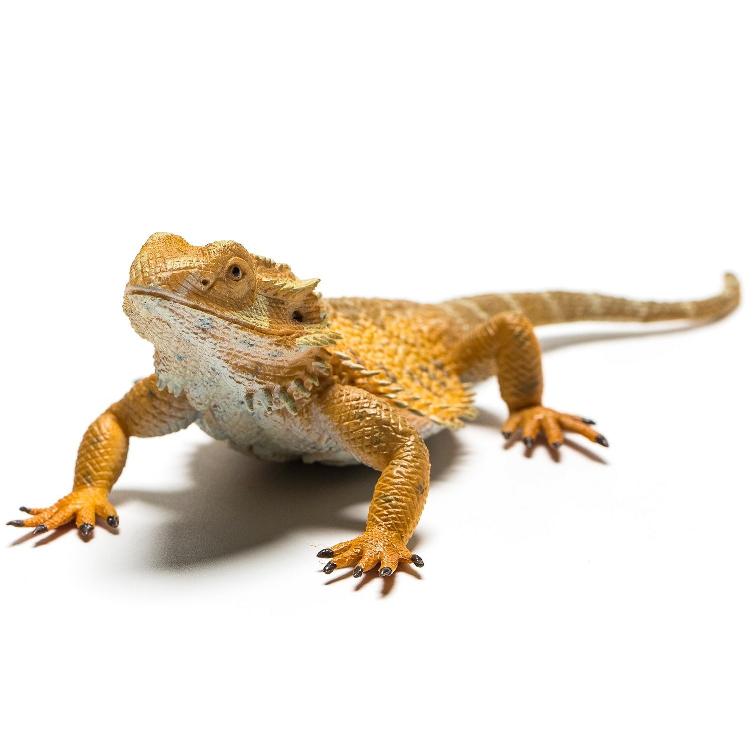 Collecta 88567 Bearded Dragon Lizard Miniature Animal Figure Toy for sale online 