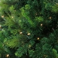 thumbnail image 2 of Northlight Real Touch™️ Pre-Lit Medium Sequoia Mixed Pine Artificial Christmas Tree - 7.5' - Clear, 2 of 5