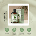 thumbnail image 3 of Citronella Essential Oil - Pure , Undiluted,  Aromatherapy Oil- Keeps Insects and Mosquitos Away, 3 of 7