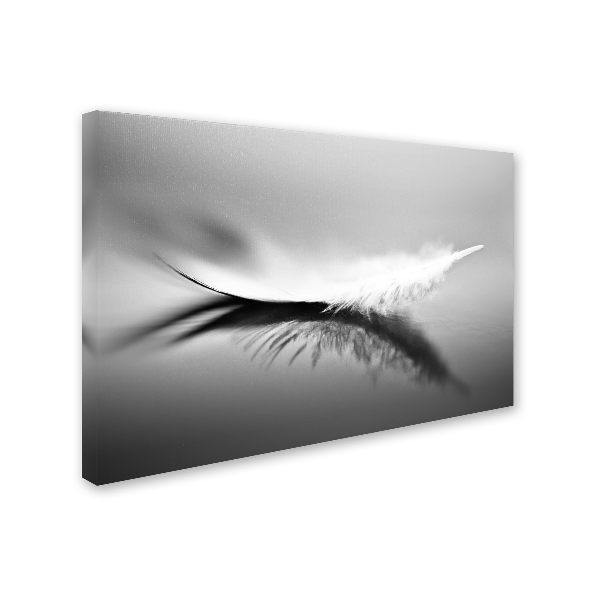 Trademark Fine Art 'White' Canvas Art by Olinda Coutinho