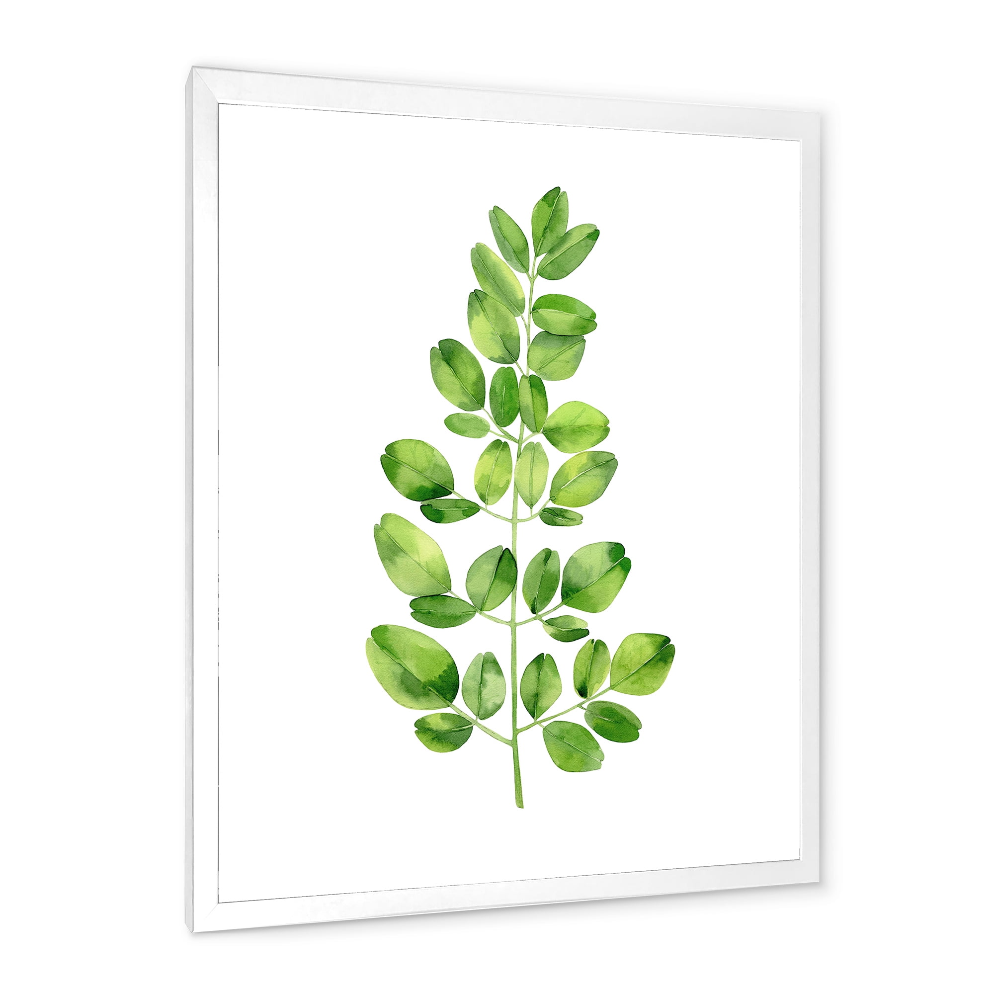 Moringa Plant Branch Tropical Tree Foliage 24 in x 32 in Framed Painting Canvas Art Print, by Designart