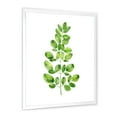 thumbnail image 3 of Moringa Plant Branch Tropical Tree Foliage 30 in x 40 in Framed Painting Canvas Art Print, by Designart, 3 of 4