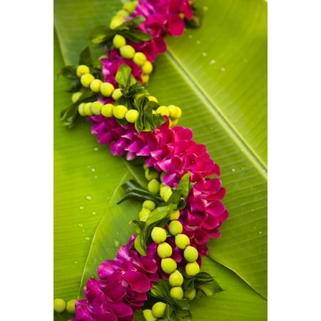 - Hawaii Oahu Orchid Lei On Banana Leaves Stretched Canvas - Dana Edmunds Design Pics (24 x 36)