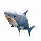 thumbnail image 5 of RC Shark Juguete Volador A Control Remoto Globo Inflable Tiburón Payaso Para Niños Juego En Interiores Con Alcance De Hasta 40 Pies Material De Nylon Duradero 57 Pulgadas De, 5 of 7