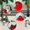 thumbnail image 3 of KYAIGUO Winter Dog Clothes Christmas Dresses Costumes Outfit Santa Dog Clothes Cat Dresses for Small Medium Dogs Puppy Kitten Outfit, 3 of 5