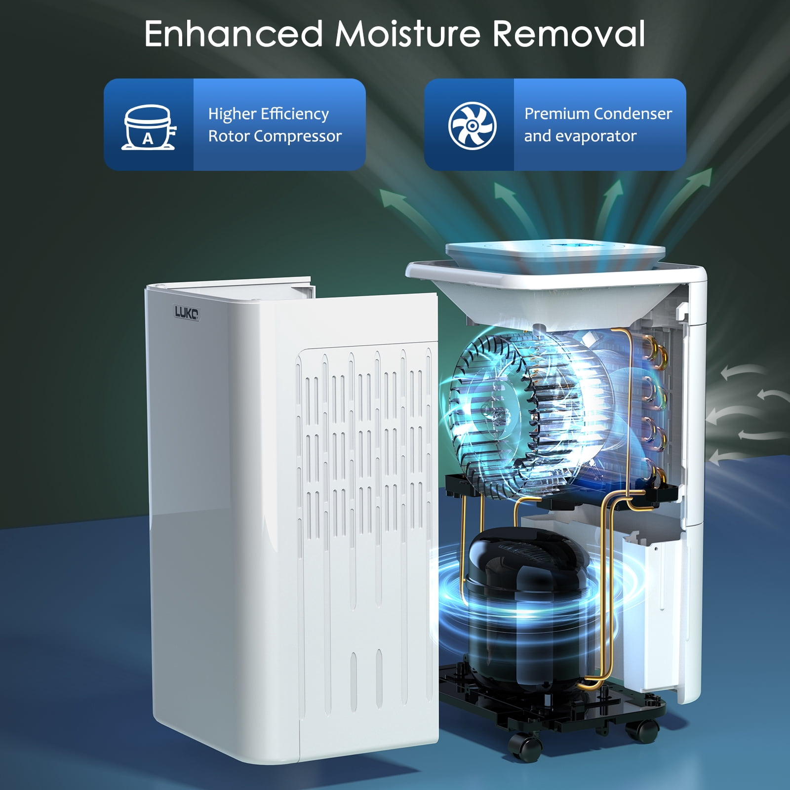 2000 Sq. Ft Dehumidifiers for Large Room and Basements, 30 Pints Dehumidifier with Drain Hose, Auto or Manual Drainage, 0.528 Gallon Water Tank, Auto Defrost, Dry Clothes Function, 24H Timer