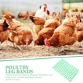 thumbnail image 4 of BRIGHTFUFU Anillos de marcado de pollo de 100 piezas Bandas de identificación de pie de pollo loro numeradas (verde), 4 of 7