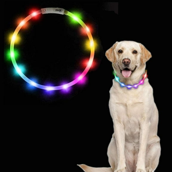 Light Up Dog Collar, Usb Rechargeable Dog Collar, Adjustable Length Led Safety Dog Collar With 2 Flash Modes For Small Medium Large Dogs Cats (Multicolor)