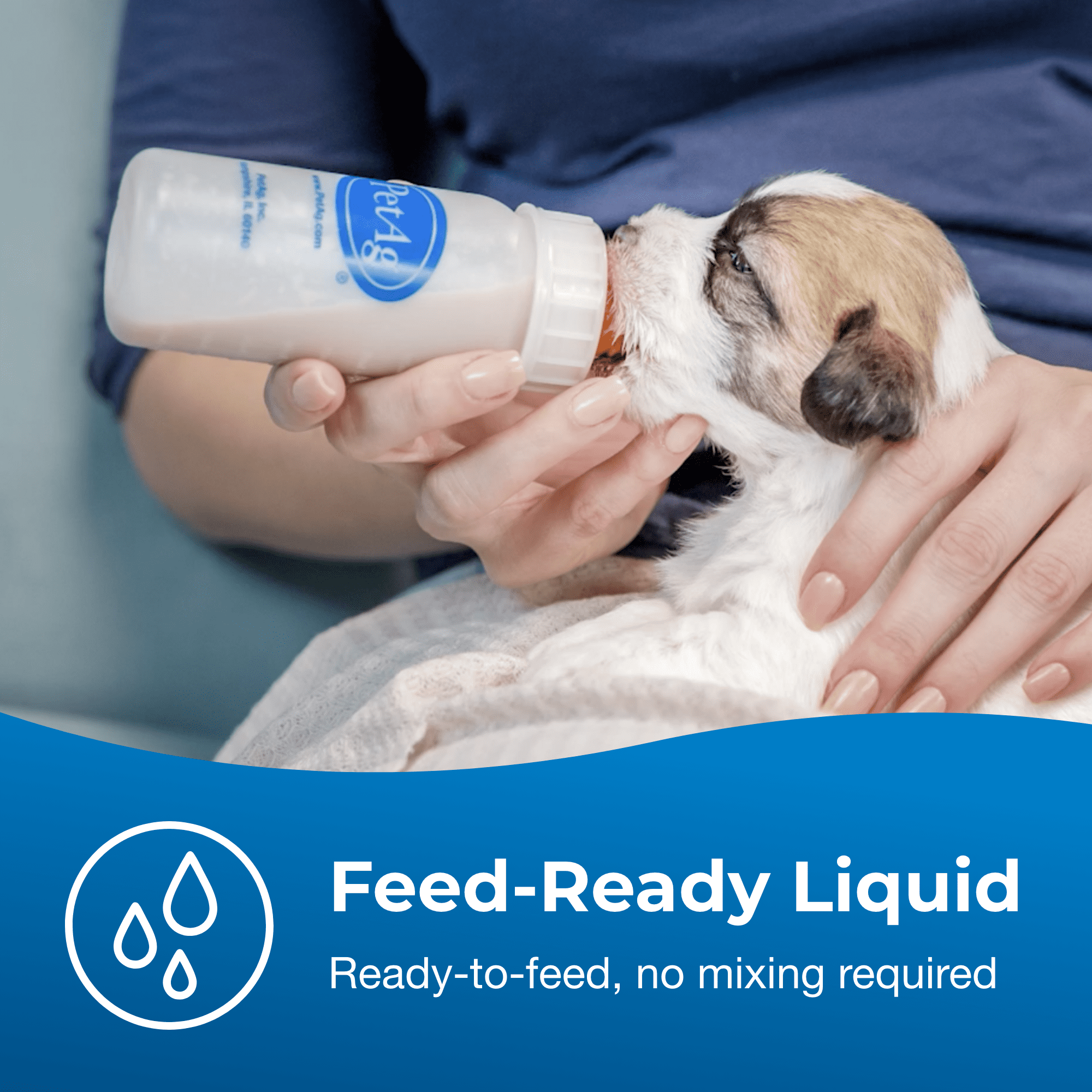 PetAg Esbilac Puppy Milk Replacer Liquid - 16 oz