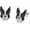 Boston Terrier, variant on S925 Sterling Silver Dog Stud for Women Cute Corgi/Husky/Golden Retriever/Dachshund Earring for Her, 24 Breed Choices, Dainty Pet Lover Jewelry