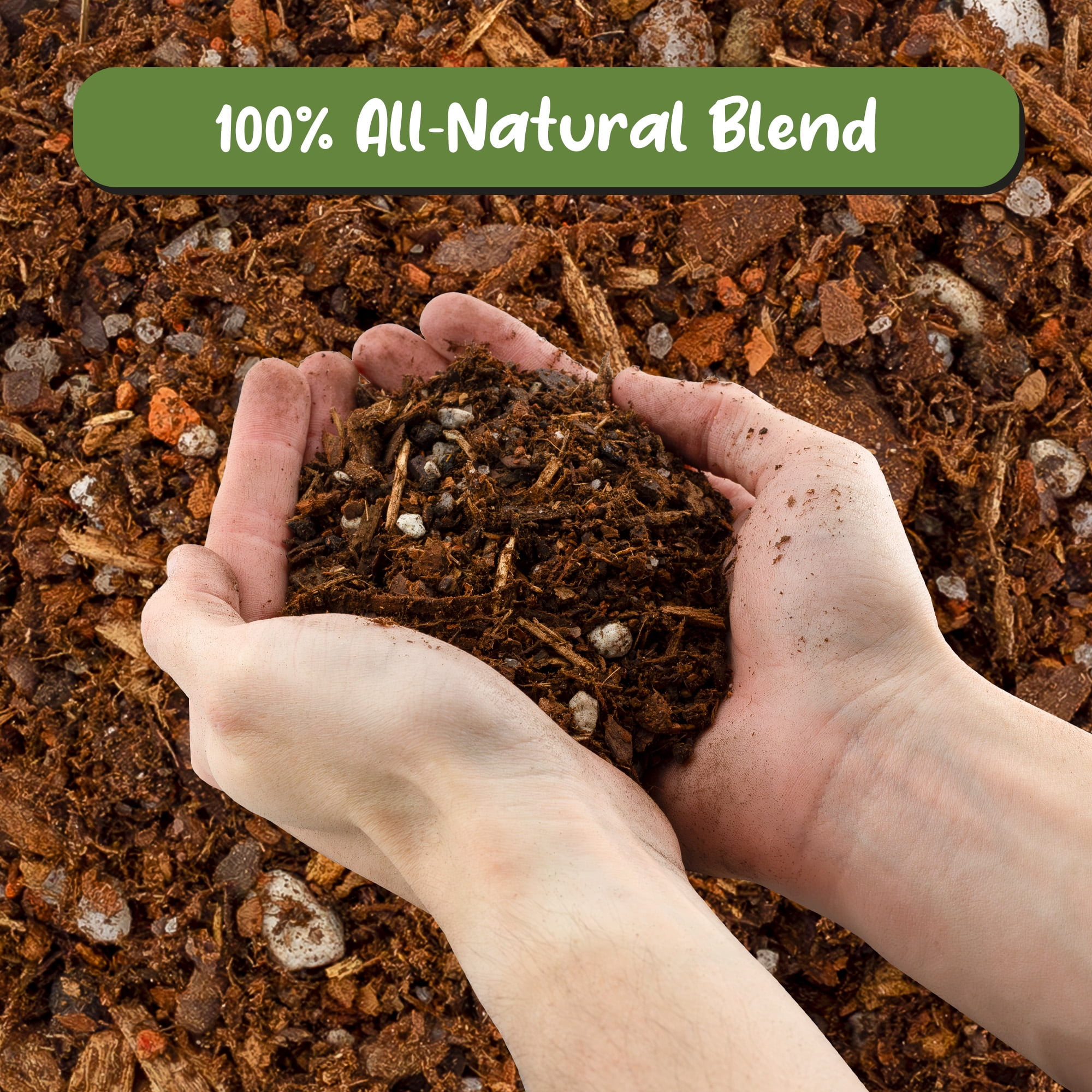 Cactus and Succulent Potting Mix (8 Quarts), Special Blend--Fast Draining and Desert-Style Gritty