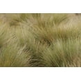 thumbnail image 2 of Jones, Adam 24x17 White Modern Wood Framed Museum Art Print Titled - Paramo grass-Antisana Ecological Reserve-Ecuador, 2 of 4