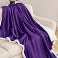 thumbnail image 4 of Deconovo Halloween Throws Sherpa Plush Blanket, 60x80 inch Purple, Machine Washable, Solid & Traditional, 4 of 7