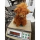 thumbnail image 4 of EasyLife Plush Doll Toy Gift Cartoon Style Children's Rag Doll Doll, 4 of 9