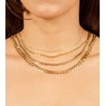 thumbnail image 4 of Olive & Chain Solid 14k Gold Curb Link Chain Necklace, 4 of 4
