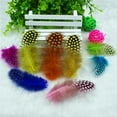 100pc Colored Feather Hair Feather DIY Handmade Pearl Wedding Stage