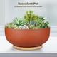 thumbnail image 2 of Macetas suculentas de 10.0 in, maceteros suculentos de terracota, macetero grande para bonsái suculento, cuenco para plantas suculentas con agujero de drenaje y bandeja de bambú, decoración interior y, 2 of 6