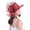 Red, variant on D-GROEE Women’s Mesh Tea Party Wedding Fascinator Hat UV-Anti Wide Brim Sun Hats Sunscreen Flower Decor Beach Hat