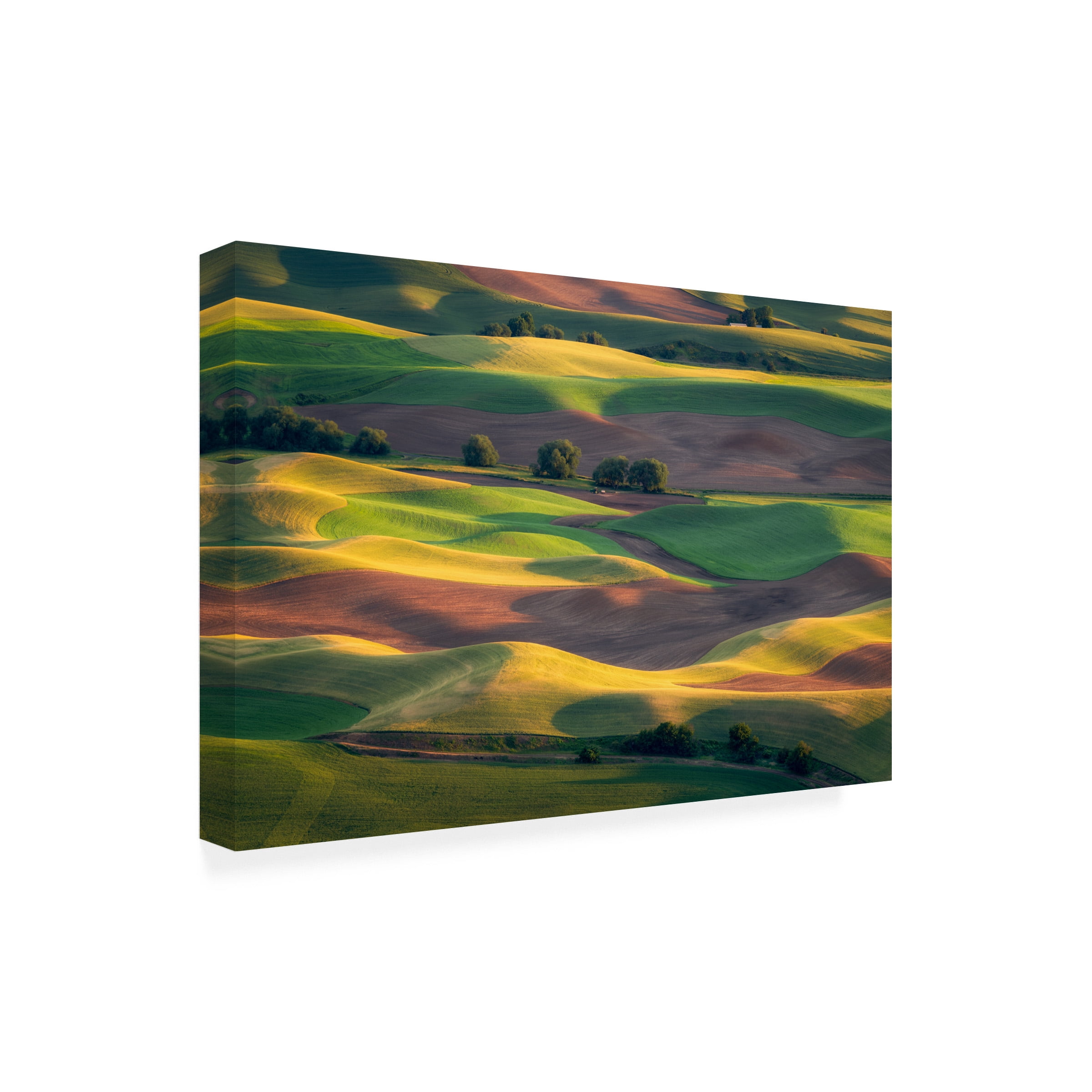 Gerald Macua 'Colorful Palouse' Canvas Art
