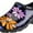Flower Power, variant on Sloggers Women's Rain & Garden Shoes Flower Power, Size 6