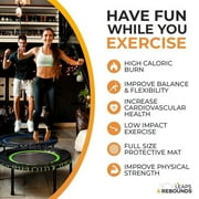 LEAPS & REBOUNDS 40 Mini Fitness Trampoline & Rebounder for Adults, Gray