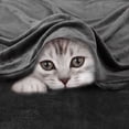thumbnail image 5 of Unique Bargains Flannel Fleece Plush Throw Bed Soft Blanket Dark Gray 91" x 91", 5 of 7