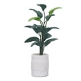 thumbnail image 1 of Planta en Maceta para Casa de Muñecas ANGGREK 1:12 Decoración Simulada Arcilla, 1 of 7