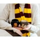 thumbnail image 3 of Juego de minitazas de cerámica Silver Buffalo Harry Potter Gryffindor, 3 of 7