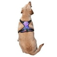 thumbnail image 3 of Gaeub Colorful Purple Cosmos Flower Gaeub Colorful Purple Cosmos Flower No Pull Dog Harness, Secure and Adjustable Pet Vest for Outdoor Activities - X-Large, 3 of 8