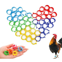 Armastuse 20mm Chicken Identification Leg Bands，Plastic Poultry Bird Leg Ring，Foot Round Tag Clips for Gamefowl Turkey Duck Goose Hens Guinea Parrot Birds (Multi-Color)