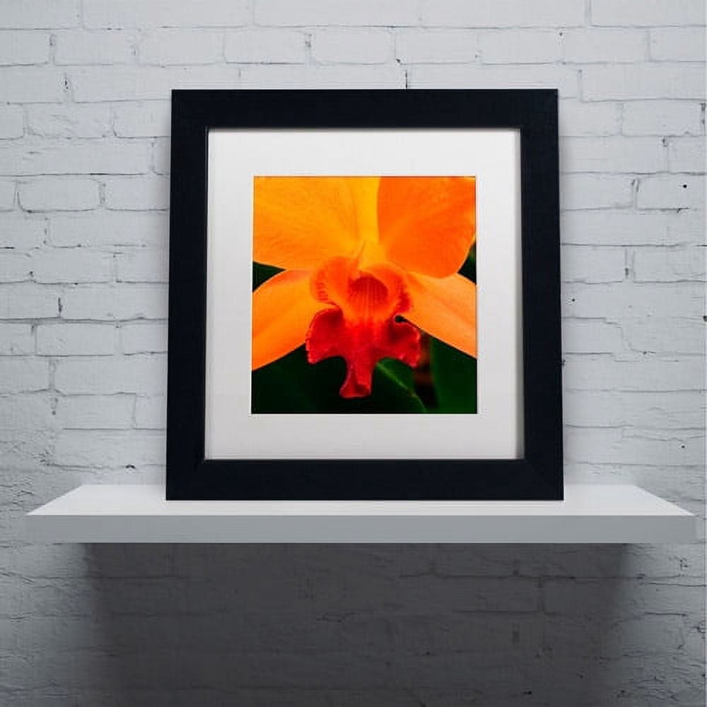 Trademark Fine Art "Brilliant Orchid on Fire" Canvas Art by Kurt Shaffer, White Matte, Black Frame