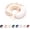 Champagne, variant on ROSEWARD 22 Momme Mulberry Silk Neck Pillow Cover with Zipper Closure, Washable Travel Pillowcase for Airplane, Car & Home