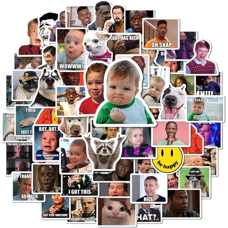 Funny Meme Stickers Pack – (200+ Pcs) Waterproof Vinyl Stickers for Laptop, Water Bottles, Journals, Phone Case