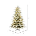 thumbnail image 2 of Vickerman 4.5' x 47" Flocked Kamas Fraser Artificial Christmas Tree, Warm White Dura-Lit® LED Lights, 2 of 2