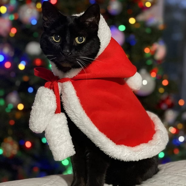 Tenue noel chat hotsell