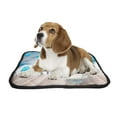 thumbnail image 2 of PKQWTM Gourmet Cake Blue Balloons Cake Smash First Year Concept Pet Dog Cat Bed Pee Pads Mat Cushion Potty Dogsblankets Crate Bed Kennel 36x48 inch, 2 of 3