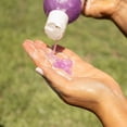 thumbnail image 4 of Jeffers Moisturizing Pet Shampoo, Berry Soft Scent, 17 oz - Coconut Based, Detergent Free & Soap Free, pH Balanced, with Vitamins A D E, for Dogs Cats Ferrets Rabbits, Made in the USA, Healthy Coat, 4 of 4