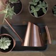 thumbnail image 4 of Lata De Riego, Lata De Agua De Acero Inoxidable Con Hervidor De Agua De Metal Largo Para Plantas Para Exteriores E Interiores De Bronce, 4 of 7